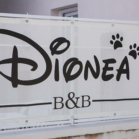 B&B Dionea Santa Maria di Castellabate Exterior foto